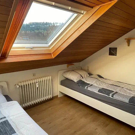 Apartment Gipfelglueck Willingen (Upland)