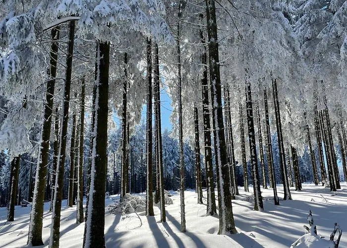Gipfelglueck * Willingen (Upland)