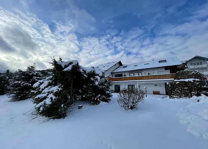 Gipfelglueck Appartement Willingen (Upland)